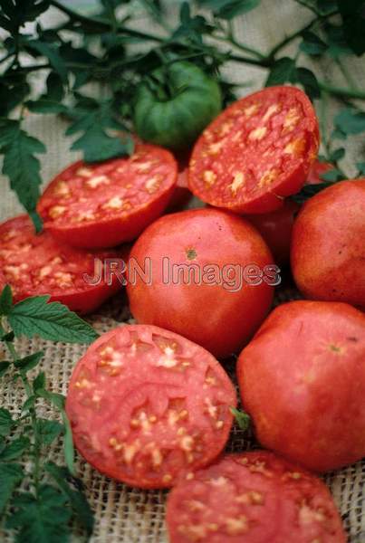 Tomato 'Cherokee Purple'