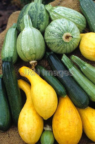 Squash mixed varieties