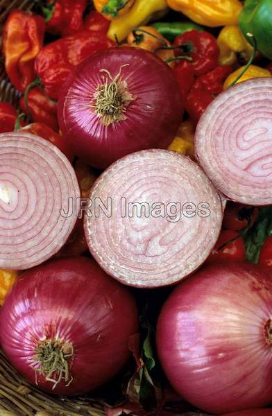 Onion 'Red Baron'