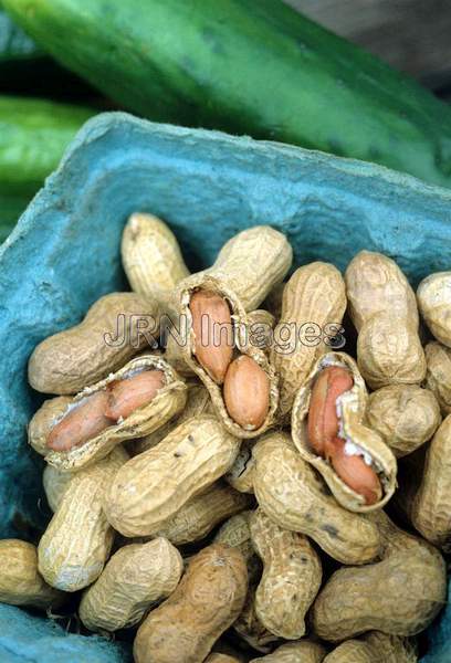 Peanut 'Virginia Red'