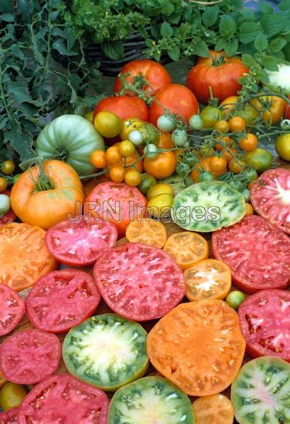 Tomato mixed kinds