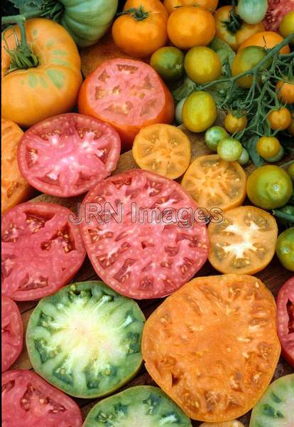 Tomato mixed kinds