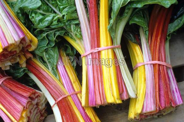 Swiss chard 'Bright Lights'