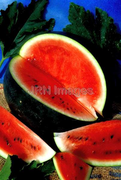 Watermelon 'Black Diamond'