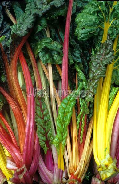 Swiss chard 'Bright Lights'