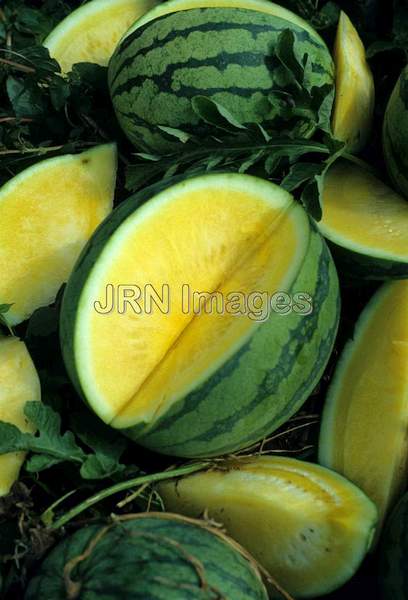 Watermelon 'Yellow Seedless'