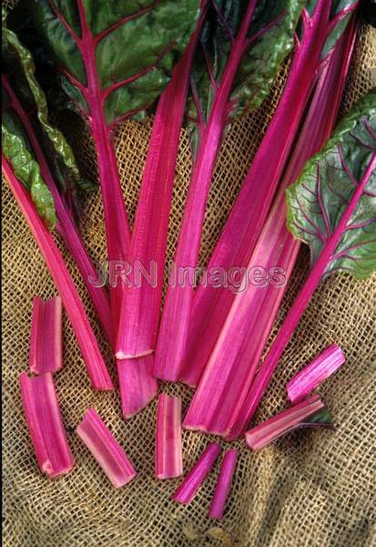 Swiss chard 'Ruby'