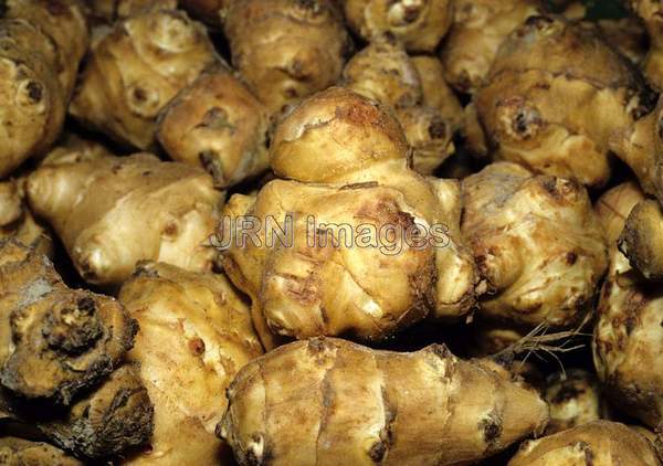 Jerusalem artichoke