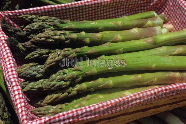 Asparagus 'All Male'