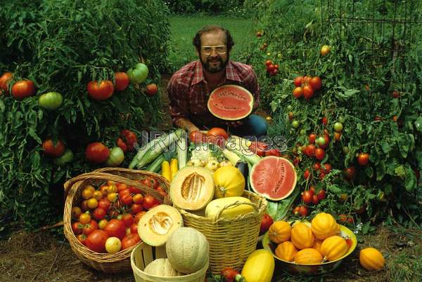 Summer Harvest