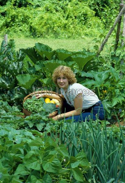 Vegetable garden