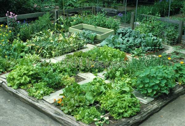 Vegetable garden