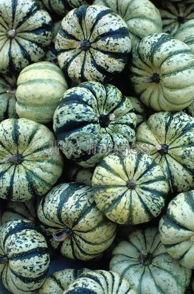 Squash 'Sweet Dumpling'