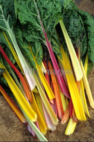 Swiss chard