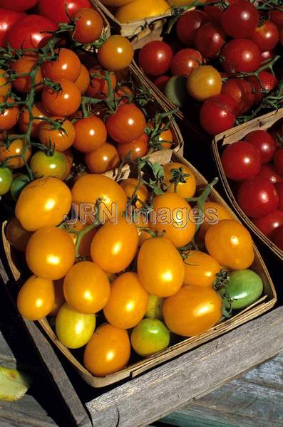 Tomato 'Yellow Plum'