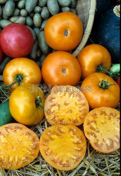 Tomato 'Lemon Brandywine'