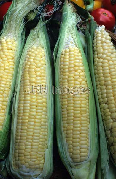 Sweet corn 'Bodacious'