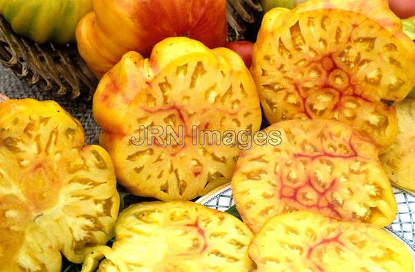 Tomato 'Rainbow'